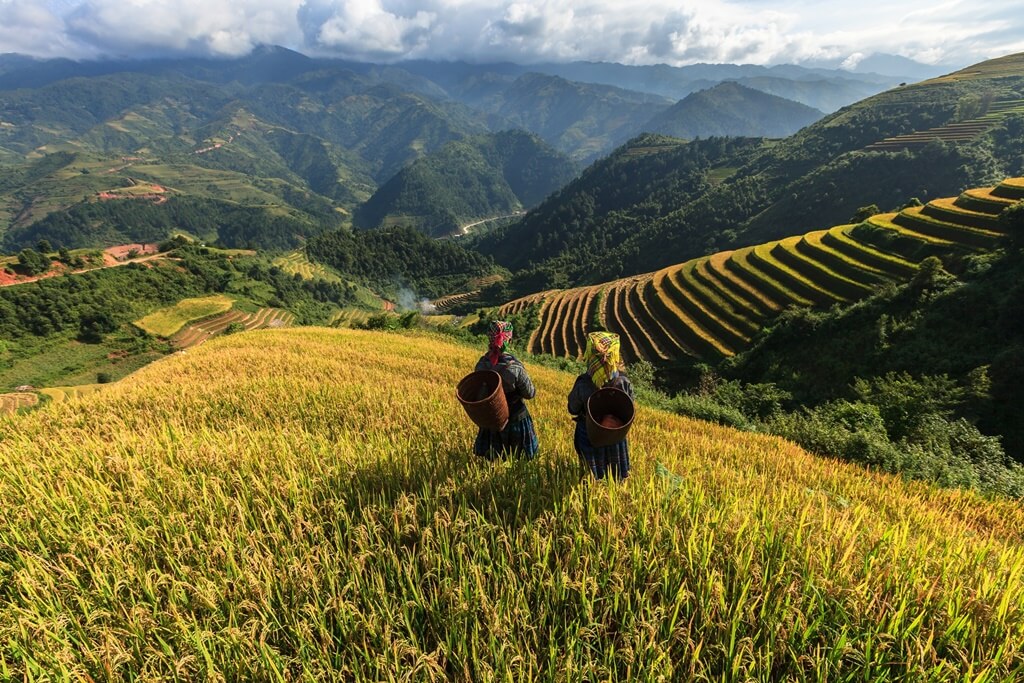 A photograph of two women with baskets on their backs standing on a hill. Their backs are to the camera and they are looking out over farming fields that have been built into the sides of steep, rolling hills.