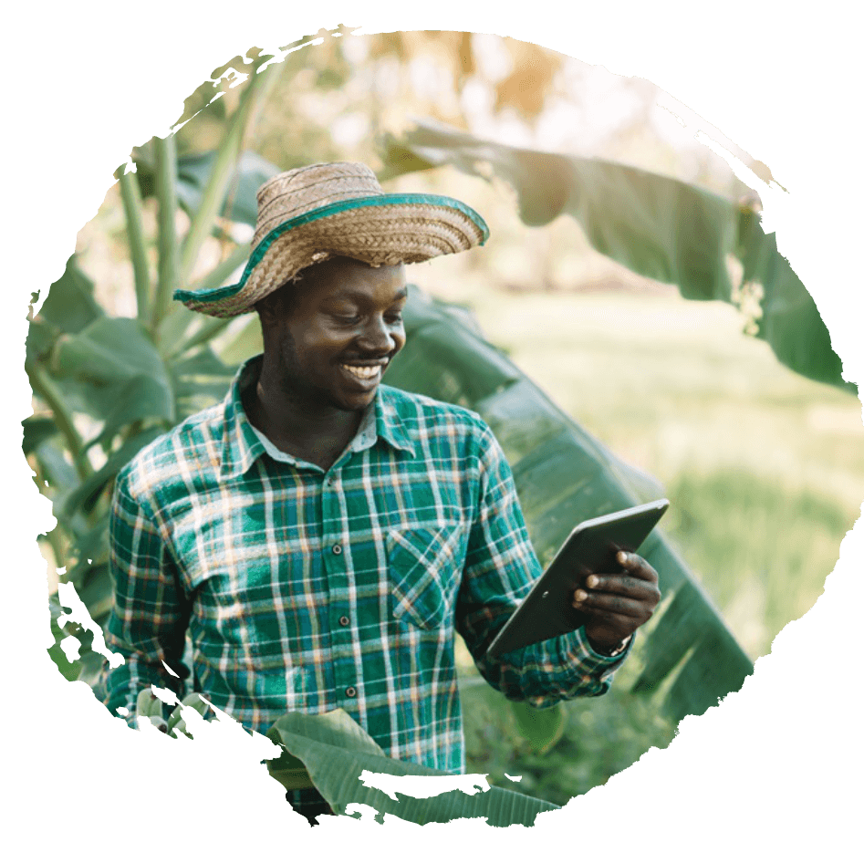 A man standing in front of a banana tree looking at a tablet he is holding in his hand and smiling.