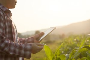 Farmer with a tablet