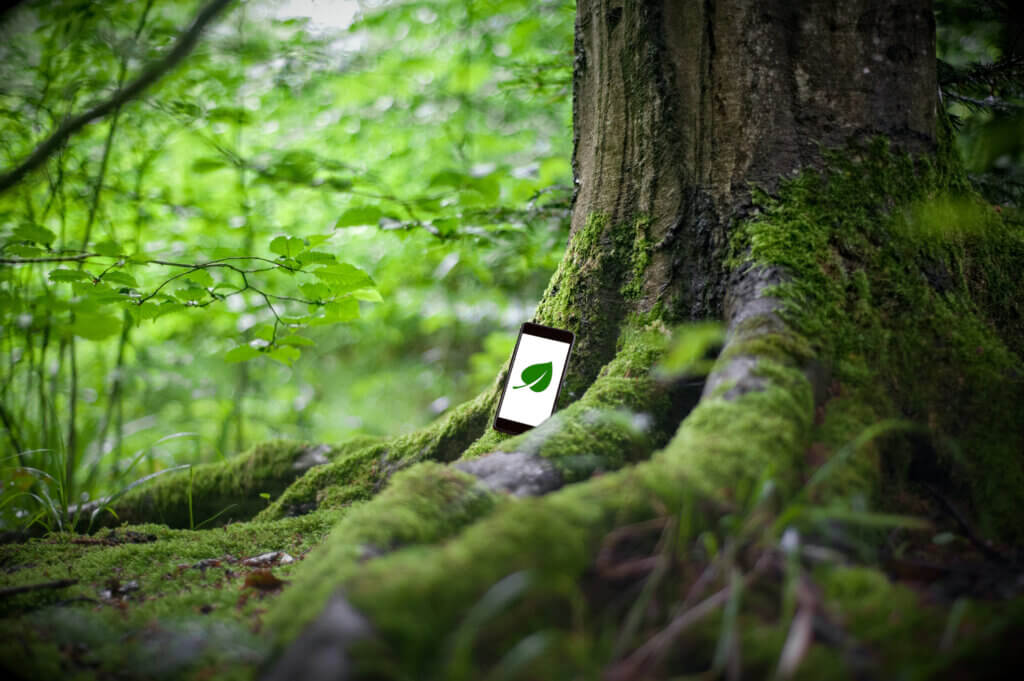 a green forest. At the base of a tree, a glowing smartphone with a leaf